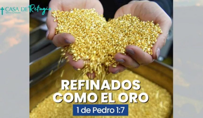 REFINADOS COMO EL ORO 04-09-22