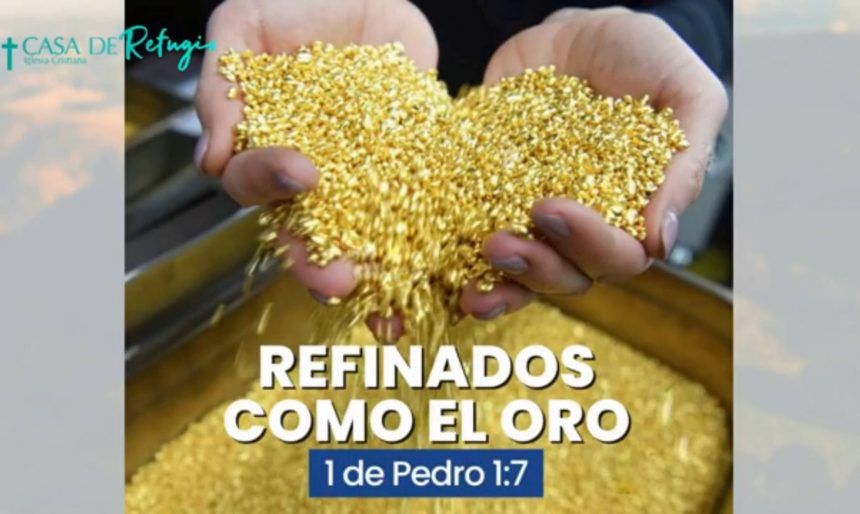 REFINADOS COMO EL ORO 04-09-22