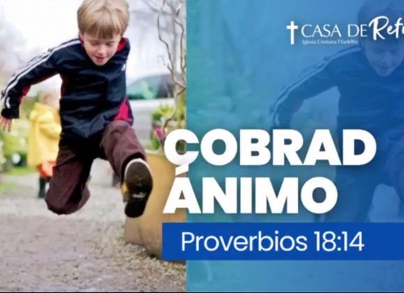 COBRAD ÁNIMO 08-10-23