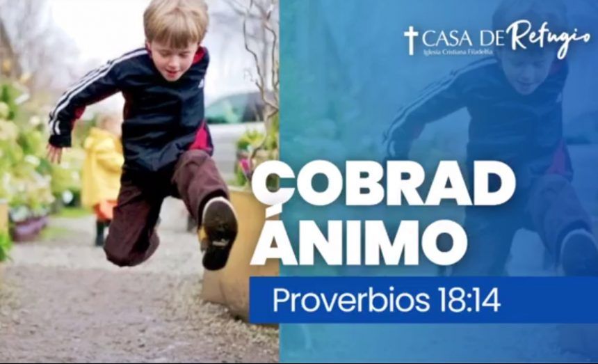 COBRAD ÁNIMO 08-10-23