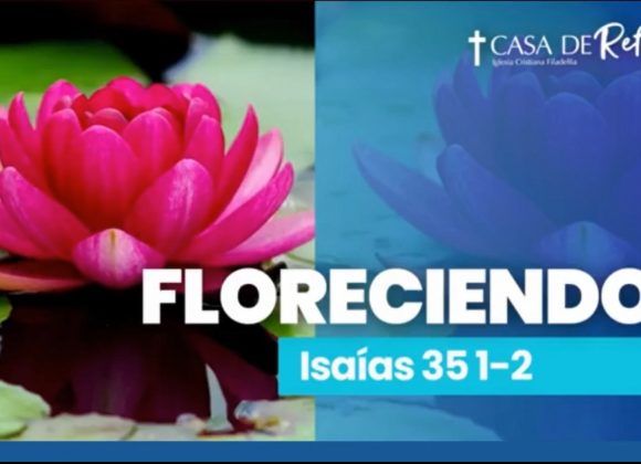 FLORECIENDO 12-11-23