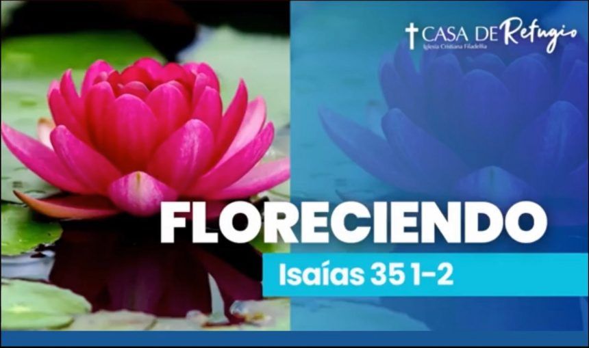 FLORECIENDO 12-11-23